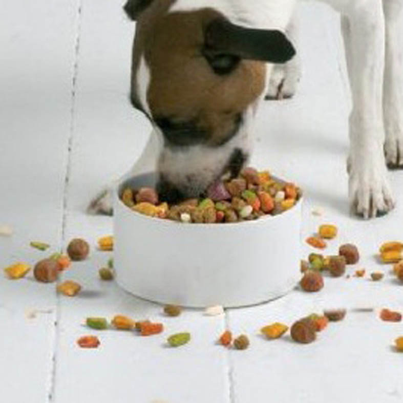 寵物糧食加工廠好做嗎?